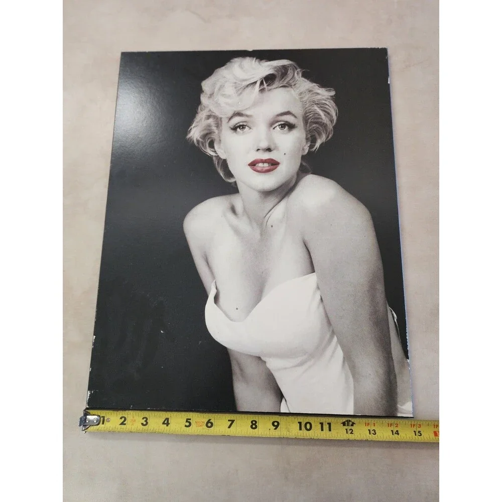 Marilyn Monroe ( 19 X 15 ) picture
